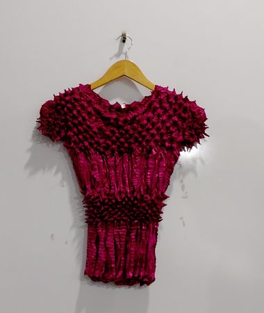 Red Ruffled Top
