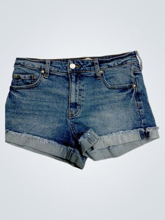 Celebrity Pink Denim Shorts