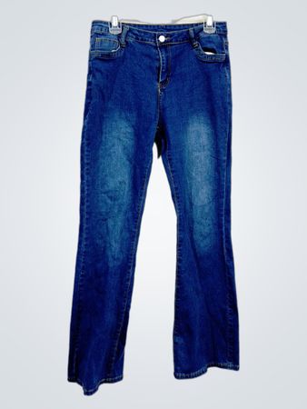 Blue Flare Jeans