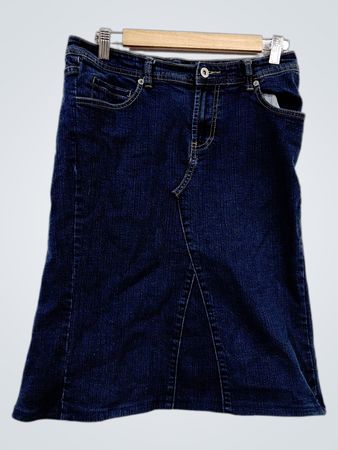 CHICO'S Platinum Denim-Rock