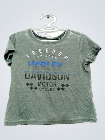 Camiseta gráfica Harley-Davidson