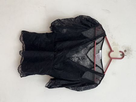 Zara Sheer Lace Blouse