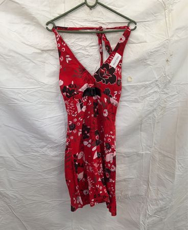 Red Floral Dress