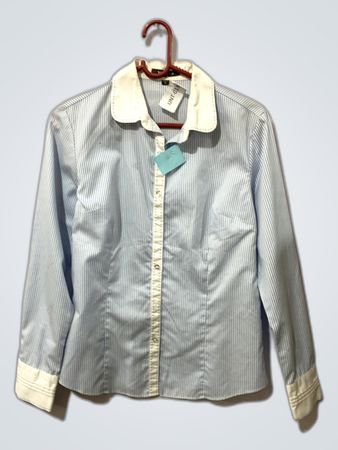 Blue and White Striped Shirt