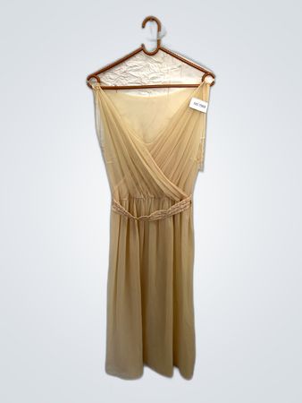 Sheer Beige Dress