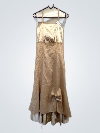 Beige Satin Dress