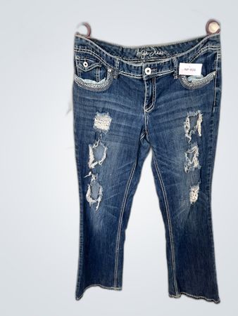 Ariya Jeans Ripped Distressed Blue Jeans