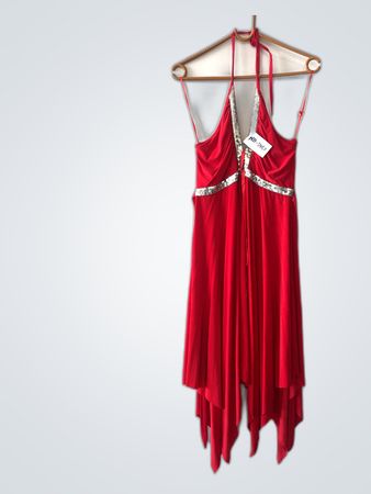 Red Sequined Dress
