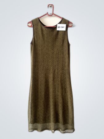 Brown Dress