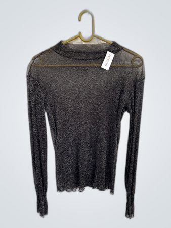 Sheer Long Sleeve Top