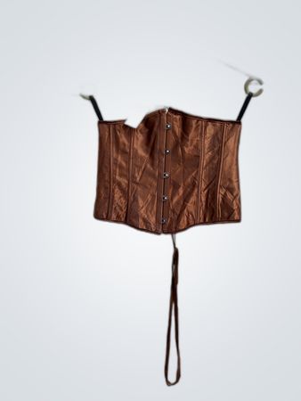 Brown Satin Corset Top