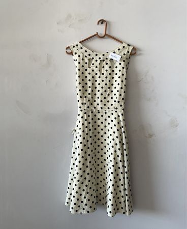 Polka Dot Dress