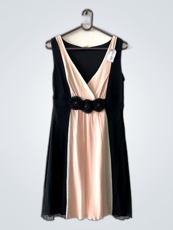 Black and Beige Dress