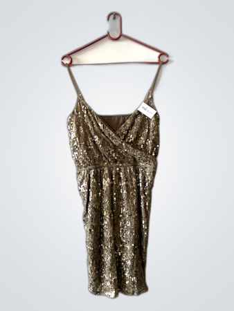 Sequined Dress