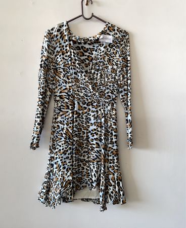 Leopard Print Dress
