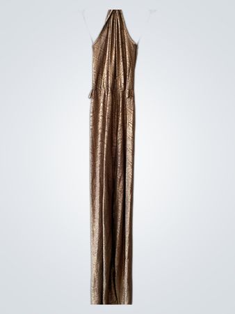 Brown Metallic Dress