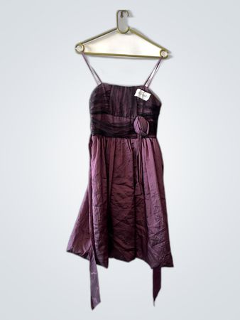 Purple Dress