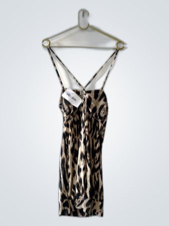 Animal Print Dress