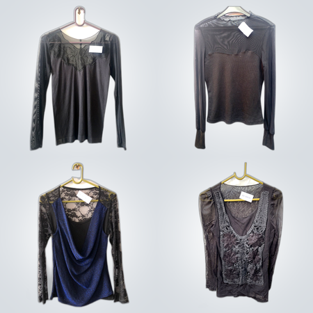 Long Sleeve Sheer Blouses Bundle
