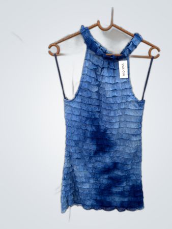 Blue Ruffled Dress