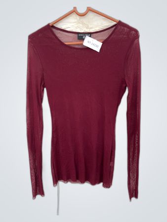 Sheer Long Sleeve Top NT-24110