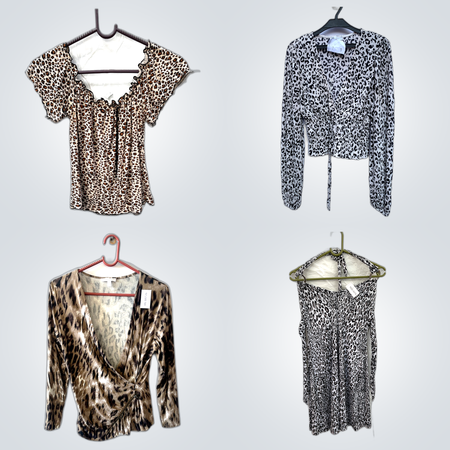 Animal Print Y2K Tops +Dresses Mix(FV 545)