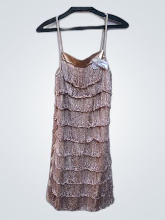 Gold Fringe Dress