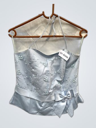 Marren Light Blue Lace-Up Satin Corset Top