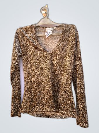 H&M Leopard Print V-Neck Blouse