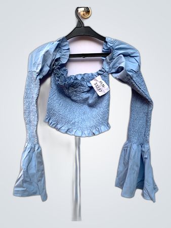 Ruffle Sleeve Blouse