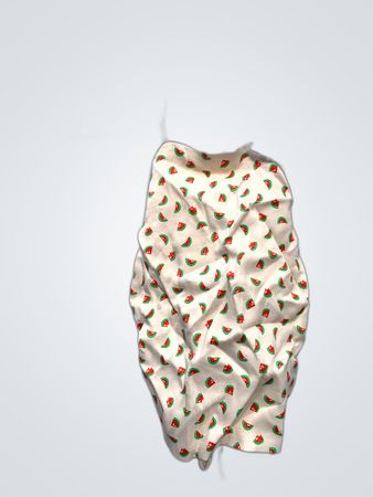 Zara Printed Watermelon Halter Camisole