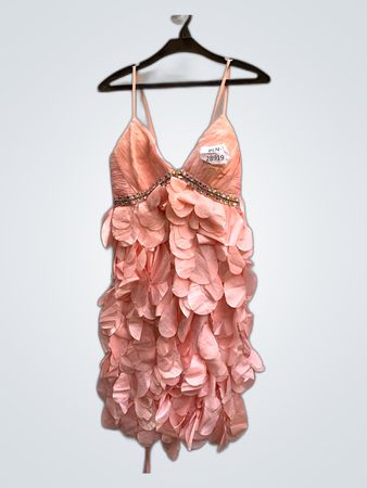 Blush Pink Ruffled Party Dress