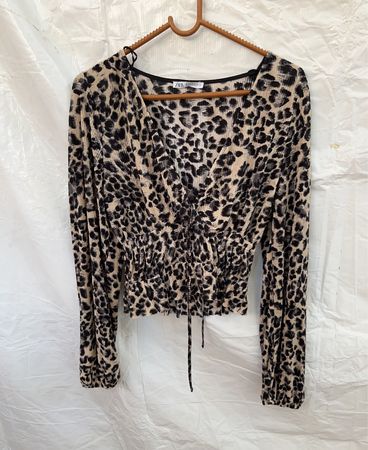 Zara Leopard Print Long Sleeve Top