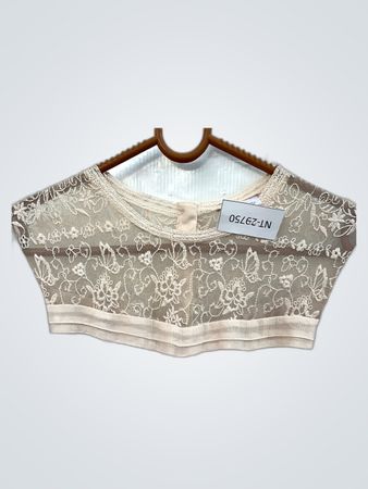 Sheer Lace Blouse