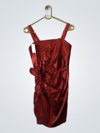 Red Satin Ruffle Mini Dress