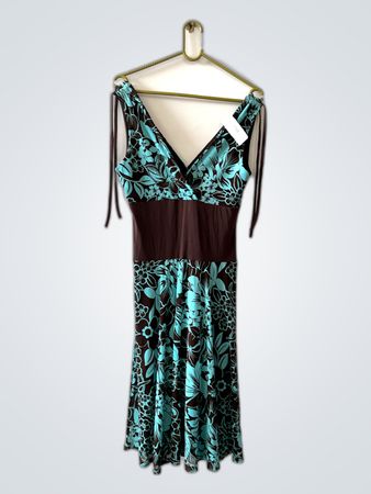 Brown and Blue Floral Dress