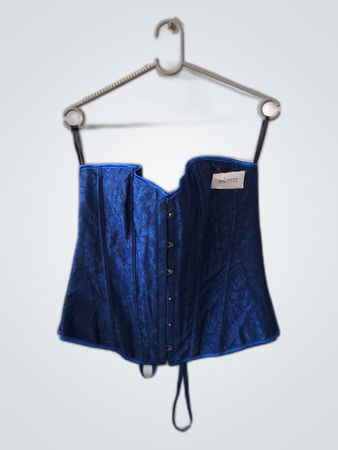 Blue Velvet Corset