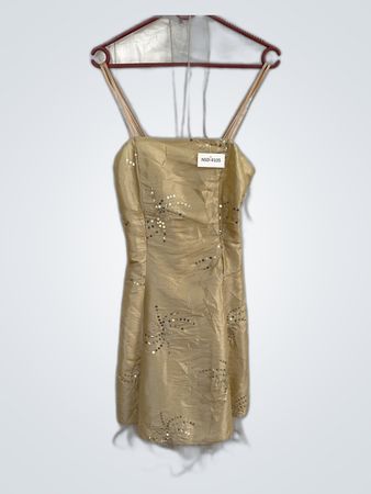 Gold Sequined Dress