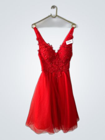 Red Lace Tulle Mini Party Dress