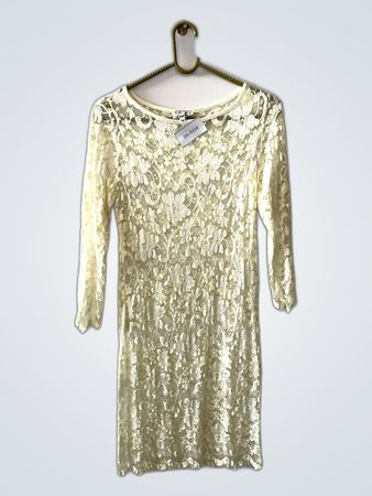 Zara Lace Mini Dress