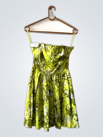Unbranded Strapless Mini Dress