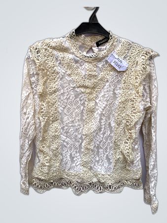 Sheer Lace Blouse