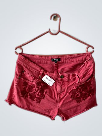 Formula Embroidered Denim Shorts