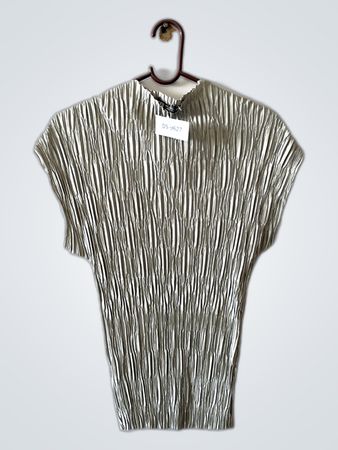 Zara Metallic Pleated Blouse