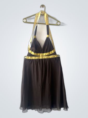 Brown Dress with Gold Trim