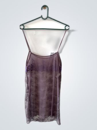 Sheer Purple Dress