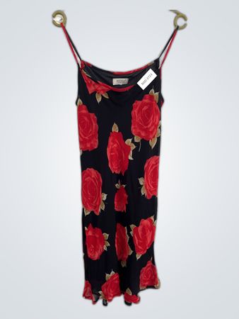 Positive Rose Print Dress