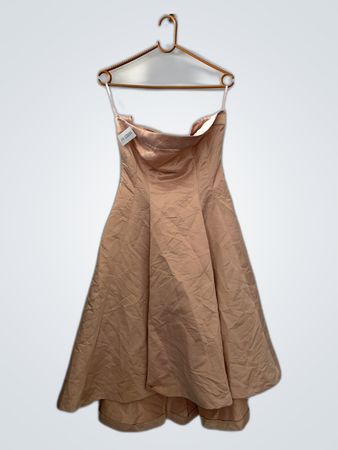 Nadine Land Blush Satin Strapless Mini Dress