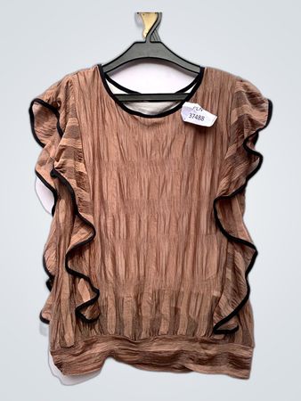 Ruffle Sleeve Blouse