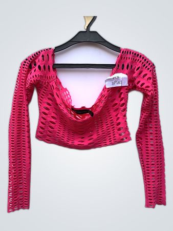 I Saw It First Pink Mesh Long Sleeve Crop Top